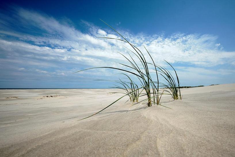 Hotel Brasserie Brakzand Schiermonnikoog Luaran gambar